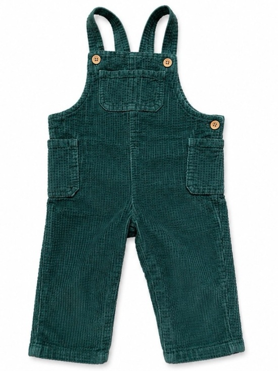 Cat & Jack Other - Cat & Jack 18M Green Corduroy Overalls Toddler Baby Boys Bib Pants